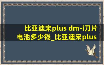 比亚迪宋plus dm-i刀片电池多少钱_比亚迪宋plus dm-i刀片电池好不好